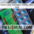 Cómo Usar Kamagra 100Mg Jalea Oral new03